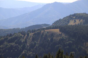 zm.IMG_0226