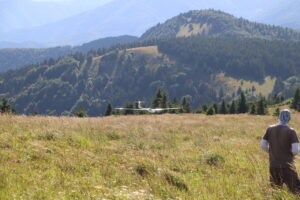 zm.IMG_0230