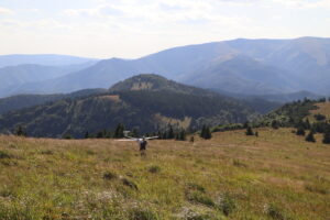 zm.IMG_0232