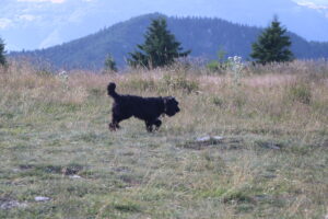 zm.IMG_0255