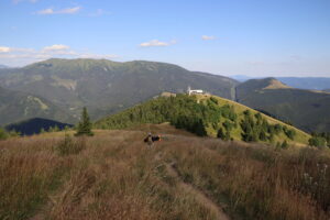 zm.IMG_0264