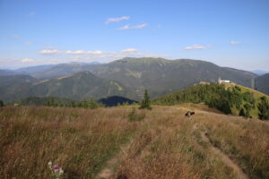 zm.IMG_0266