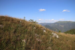 zm.IMG_0268