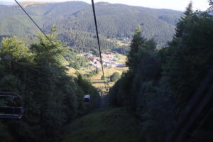 zm.IMG_0276