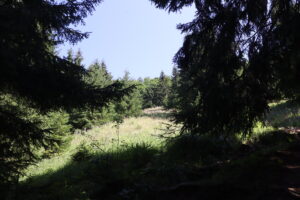 zm.IMG_0281
