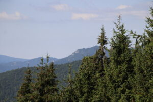 zm.IMG_0285