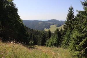 zm.IMG_0304