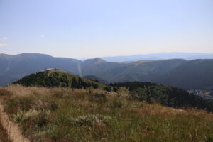 zm.IMG_0315
