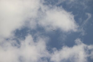 zm.IMG_0335