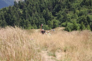 zm.IMG_0338