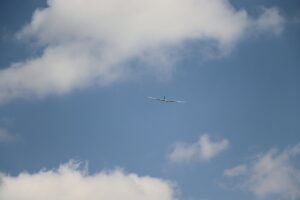 zm.IMG_0339