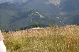 zm.IMG_0350