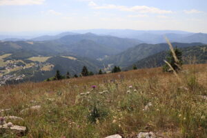 zm.IMG_0375