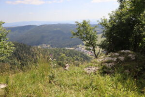 zm.IMG_0403
