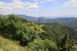 zm.IMG_0407