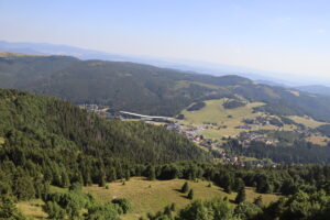 zm.IMG_0447