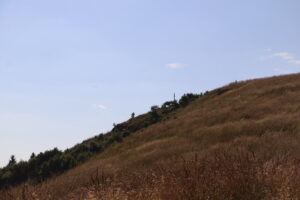 zm.IMG_0464