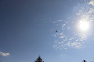 zm.IMG_0467