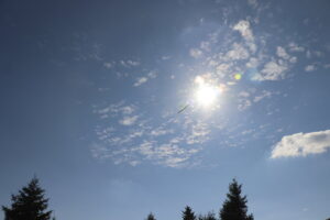zm.IMG_0469