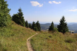 zm.IMG_0477