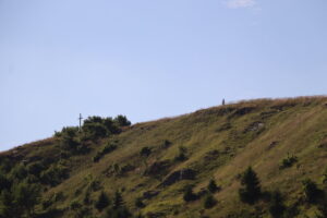 zm.IMG_0478
