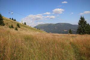 zm.IMG_0480