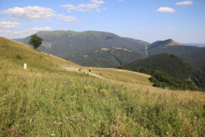 zm.IMG_0485