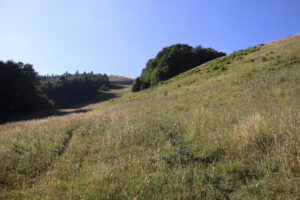 zm.IMG_0488