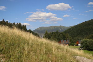 zm.IMG_0490