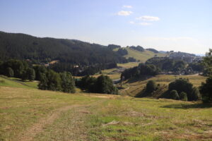zm.IMG_0492