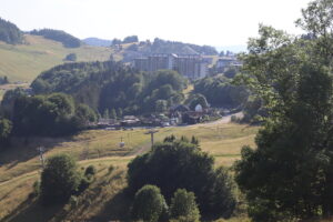 zm.IMG_0493
