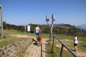 zm.IMG_0513