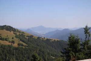 zm.IMG_0515
