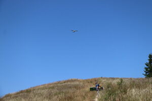 zm.IMG_0518