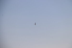 zm.IMG_0536