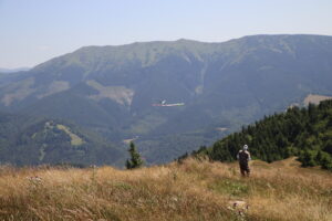 zm.IMG_0552