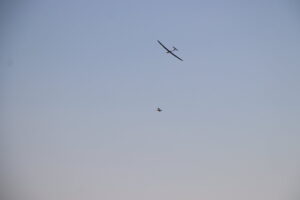zm.IMG_0560