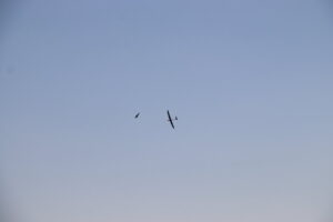 zm.IMG_0571