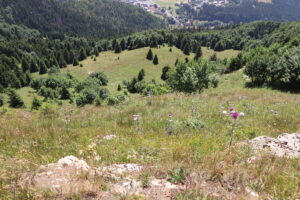 zm.IMG_0574