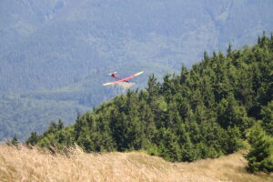 zm.IMG_0593