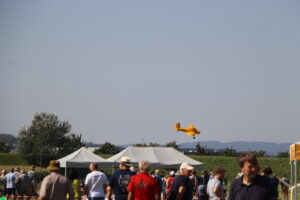 zm.IMG_0754