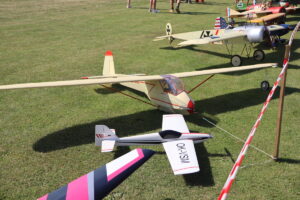 zm.IMG_0782