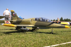 zm.IMG_0804