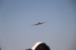zm.IMG_0849