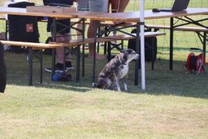 zm.IMG_0859