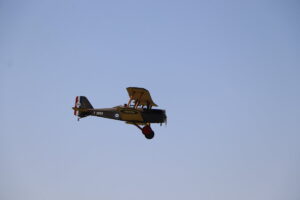 zm.IMG_0869