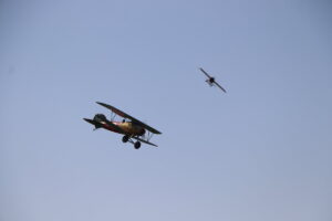 zm.IMG_0883