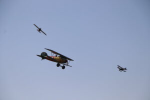 zm.IMG_0884