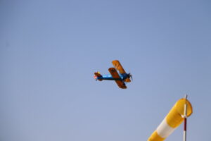 zm.IMG_0908