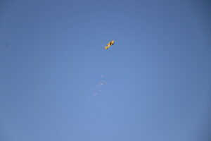 zm.IMG_0949